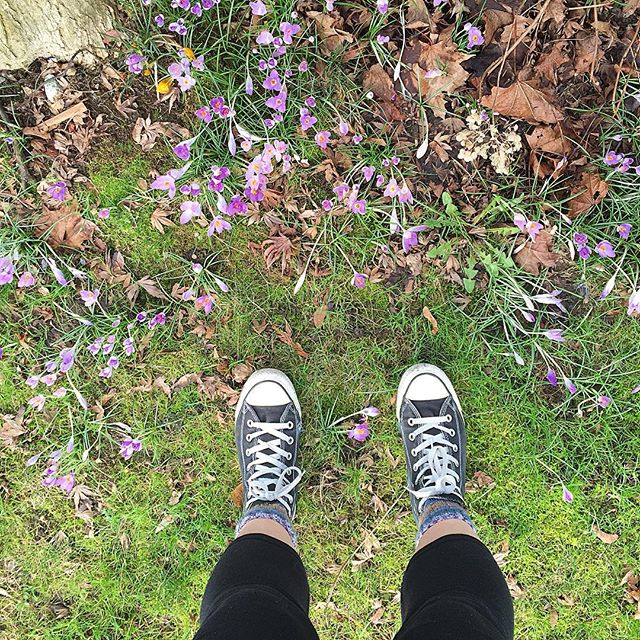  In between rain storms, Spring is bringing us blue skies. And cute little flowers. I love this city.  #vancouverisawesome #vancouverbc #vancitybuzz #vancouver #vancouverlife #yvr #springishere #springflowers #springiscoming #kitsilano 