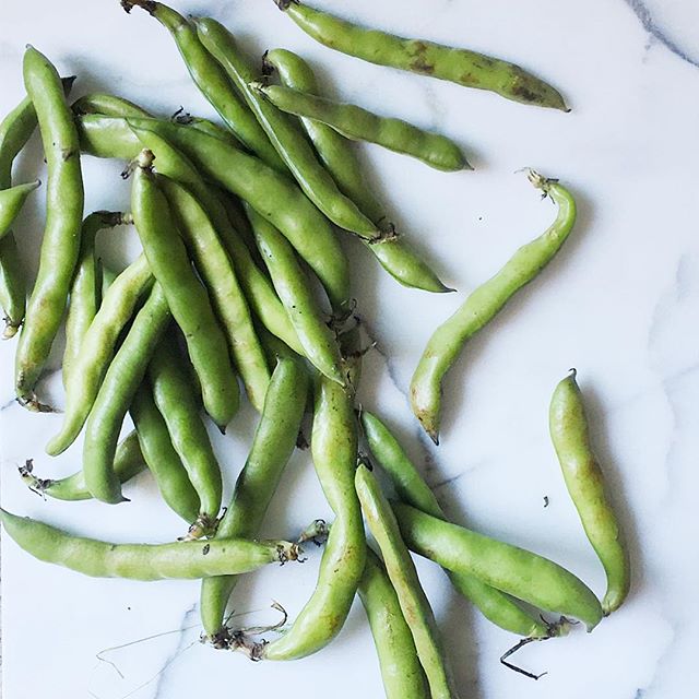  So. Many. Fava. Beans. To. Shell. #SpringIsHere #ThisIsTakingForeverAndINeedABigGirlGlassOfChianti 