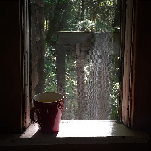  Moments like these... ☀️☕️ #perfection #morningslikethese 