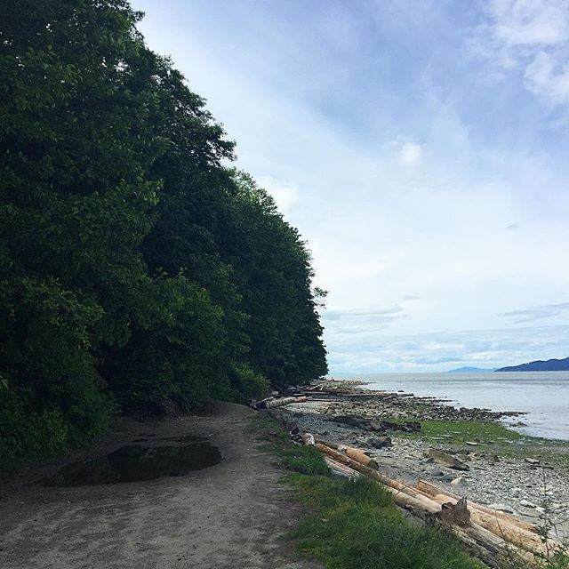  Those of you who follow my snapchat know I was filming Wayward Pines last night. I was expecting it to be a late one - like, 5am kinda late. But we wrapped shortly after 11pm!!! So I hauled my tired ass up out of bed this morning and rode my bike to here - as far as you can go on the Spanish Banks path before running into the ocean. It's wet. The ground. Not my ass. And it's beautiful. Again, the ground. Not my ass.  #vancouverisawesome #vancouverbc #westcoast #westcoastlife #westcoastbestcoast #pacificocean #pacificbeach #pacificnw #pnwonderland #pnwlife #goexplore #travelcanada #canadaswonderland #kitsilano #spanishbanks #natureaddict #naturegrAm #natureporn #naturephoto #naturelovers #yvr #veryvancouver #explorebc #vancouvercanada 