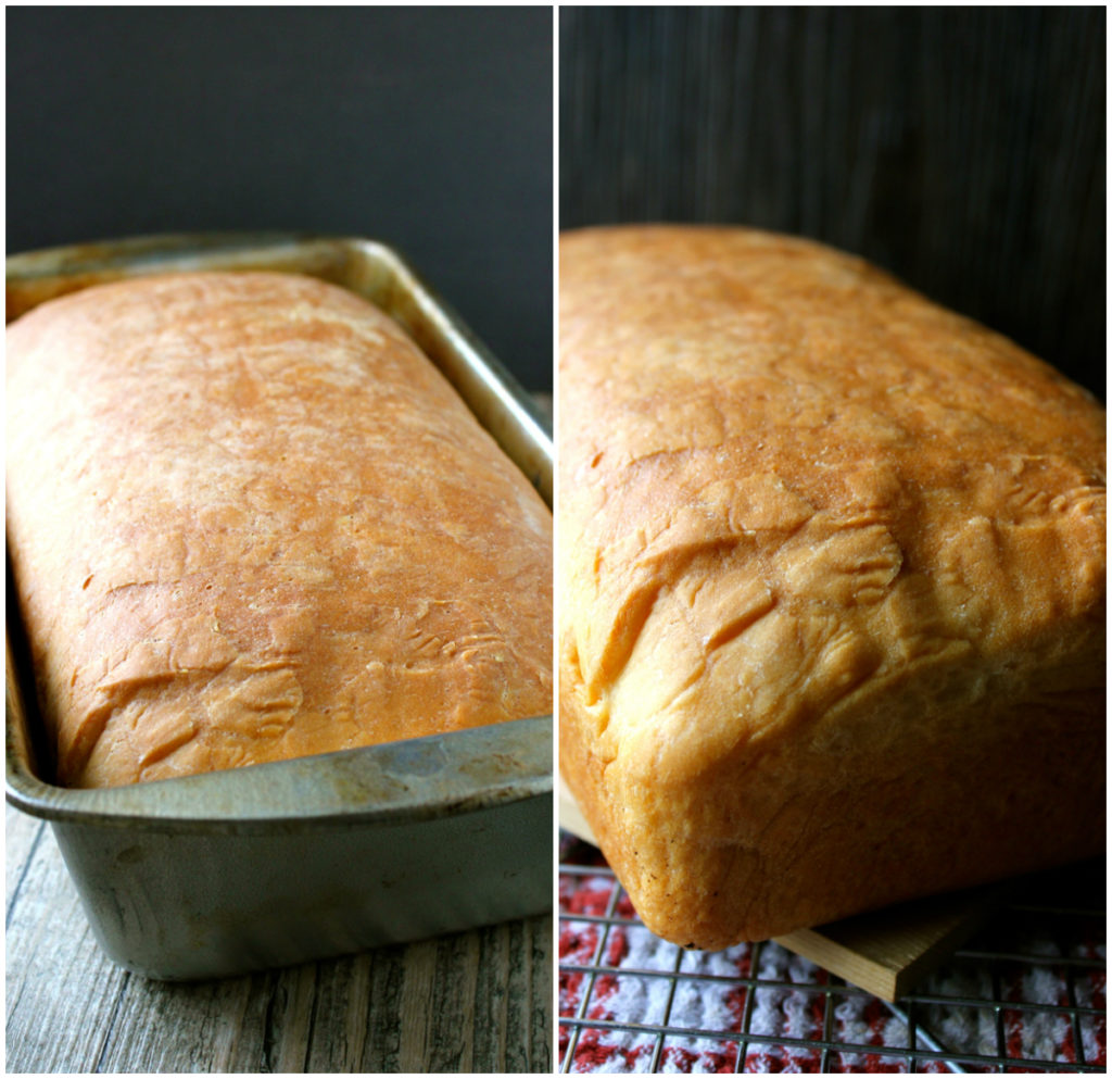 Fresh Scratch Baked Bread Recipe