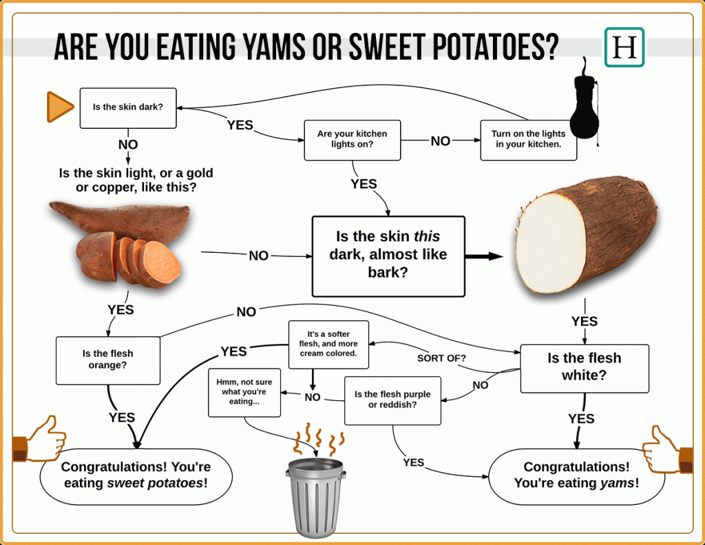 Yams or Sweet Potatoes