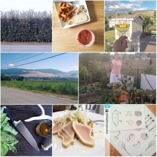 Fresh Foods Wednesday #89