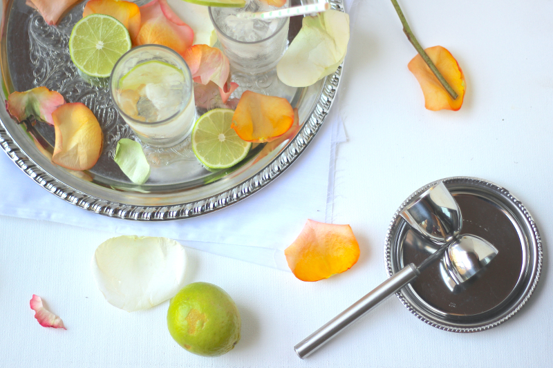 The Absolute BEST Gin and Tonic – The Travel Bite