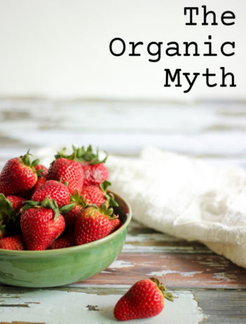 The Organic Food Myth - Strawberries - She Eats